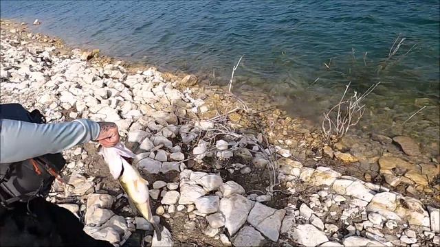 Рыбалка на Кипре.LEVANTE MEGABASS и воблеры в деле.Часть -100.Сезон 2023 смотреть онлайн