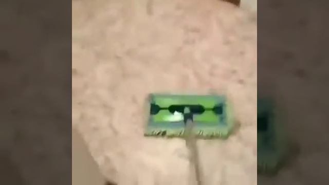 ШЕРСТЬ ЖИВОТНЫХ  и ШВАБРА GREENWAY