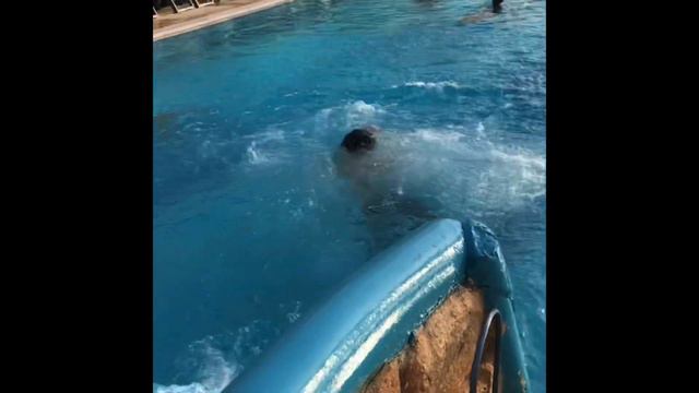 Occidental sharjah grand hotel #alkhanbeach #occidentalsharjahgrand смотреть онлайн