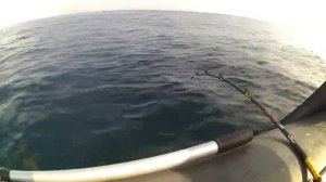 Бюджетная электрокатушка. Шуруповерт на морской рыбалке