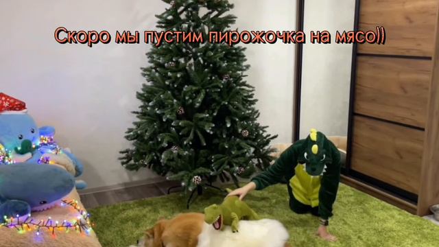 ГОТОВЛЮСЬ К... (ответы на вопросы) смотреть онлайн