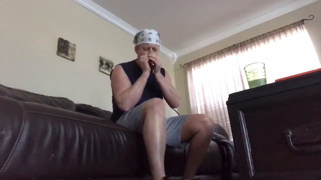 Rock and Roll Harmonica Style смотреть онлайн