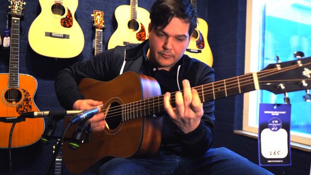 Ibanez AW65 LG - Acoustic Guitar (SOUND DEMO)