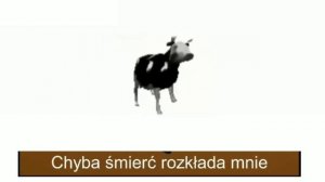 Польская корова полная песня со словами...