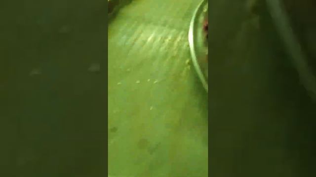 Vinegret . Ukrainian Salad