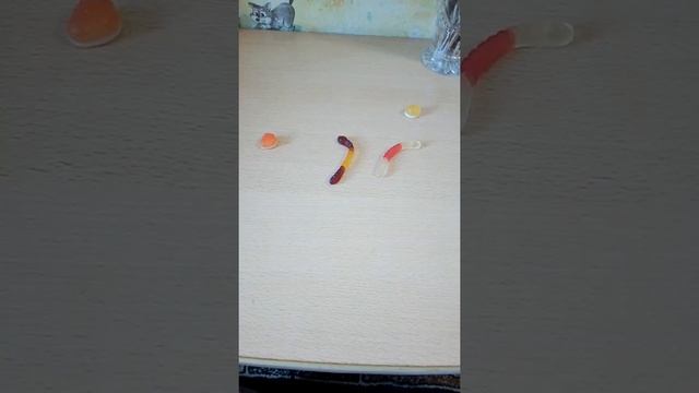 Кормёшка мармеладных червячков смотреть онлайн