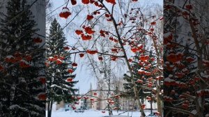 #Ишимбай Город В Котором Я Живу