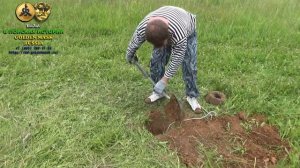 Глубинный металлоискатель Golden Mask Deep Hunter Pro 2. Тест с прохода на пивную банку.