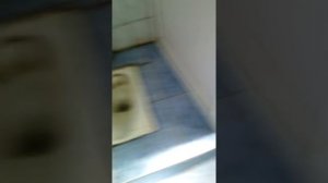 Обзор туалетов в школе 56