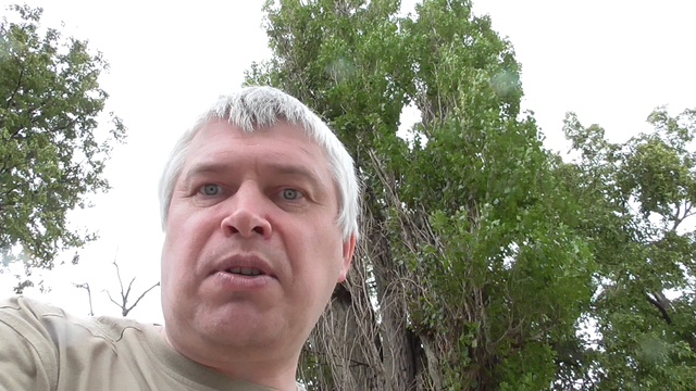 Я нахожусь рядом с мостом, подвесной мост, город Орёл