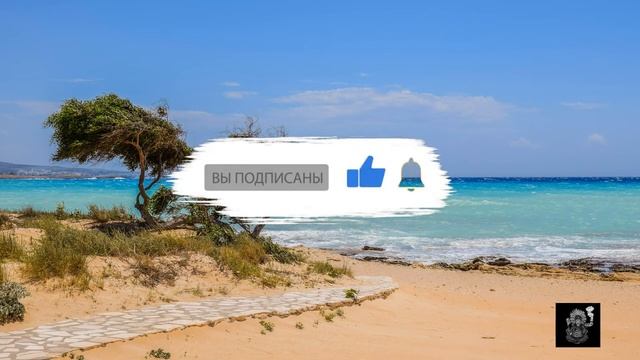 Экхарт Толле - Мудрость сдачи. Сила момента сейчас. смотреть онлайн