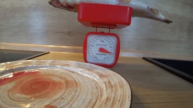 Прогулка на лыжах. Даша защитила пояс по карате! Солим омуль. смотреть онлайн