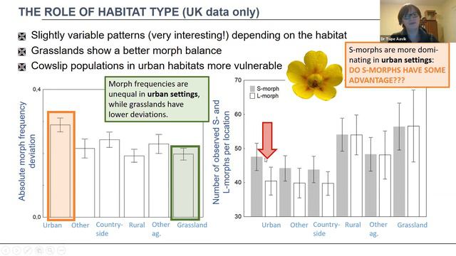 Intelligence services – what we learned from cowslips смотреть онлайн