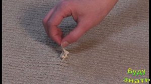 ЛЕГКО! Удаляем Жвачку с одежды...Смотри!