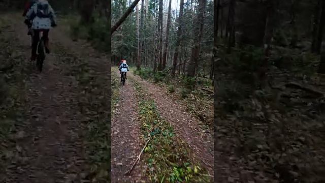 В лесу за Болдино по дороге. смотреть онлайн