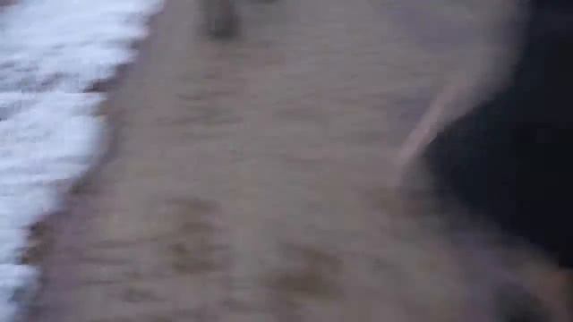 пошли за триган-д))).MP4 смотреть онлайн