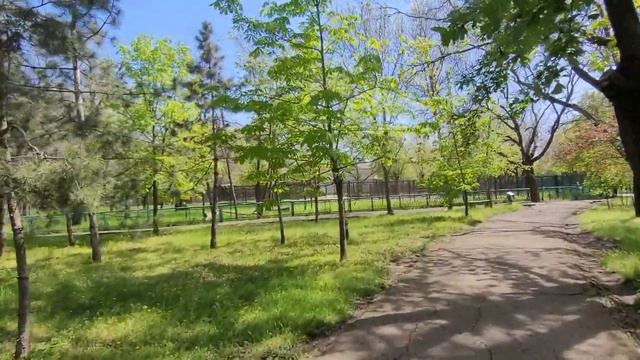 г.НИКОЛАЕВ УКРАИНА 🇺🇦 ( 3 часть ЗООПАРК ) #рекомендации #николаев #Украина #зоопарк #новости смотреть онлайн