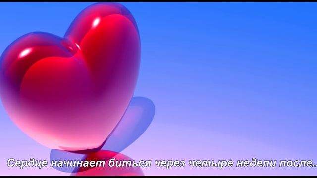 Сердце - Интересные факты! смотреть онлайн