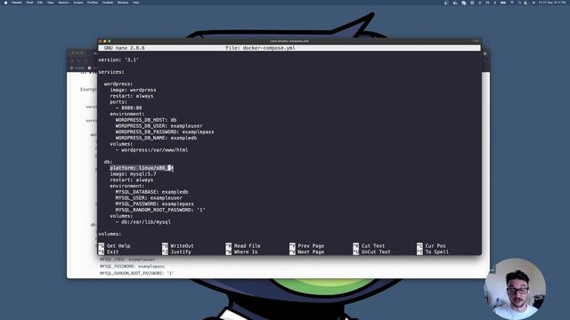 Let's Install: Wordpress + MYSQL Using Docker Compose смотреть онлайн