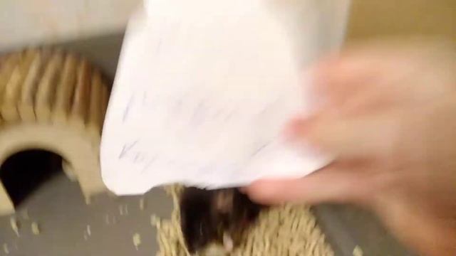 День рождения крыс! УРА!!!! смотреть онлайн