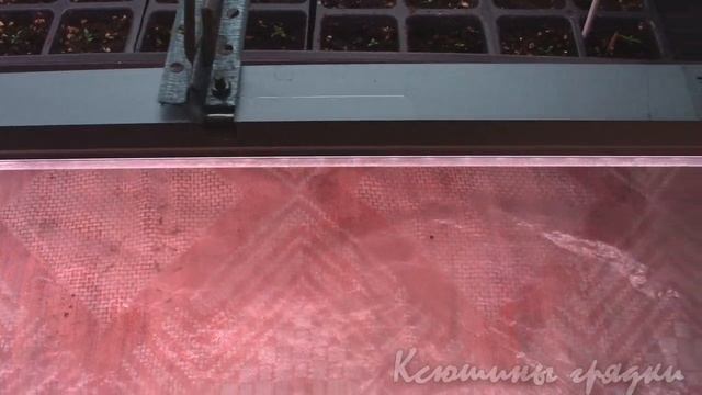ПРОЦЕСС ПОШЕЛ смотреть онлайн