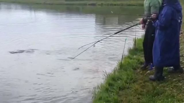 Клев форели в течении всего дня смотреть онлайн