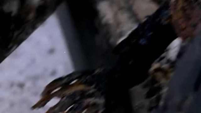 Мисс Марпл Агаты Кристи: Тело в библиотеке /1 сезон 1 серия/ смотреть онлайн