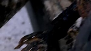 Мисс Марпл Агаты Кристи: Тело в библиотеке /1 сезон 1 серия/