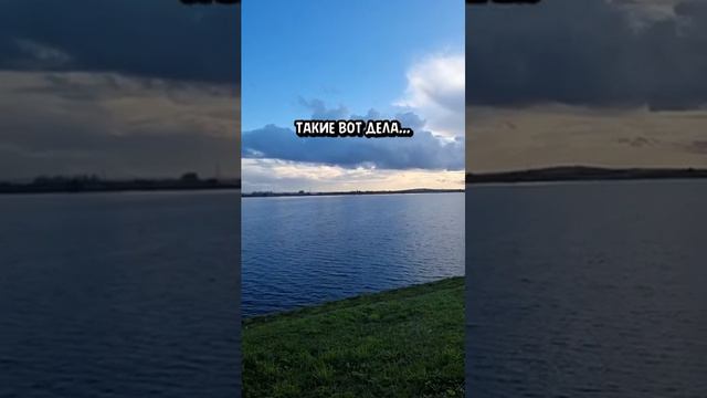 Сказка про муровья смотреть онлайн