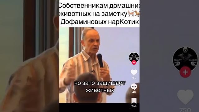 Как просто заразиться от животных. Все о токсоплазме смотреть онлайн