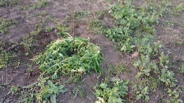 Остановиться нет сил смотреть онлайн