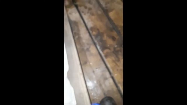 Как подготовить веник к бане смотреть онлайн