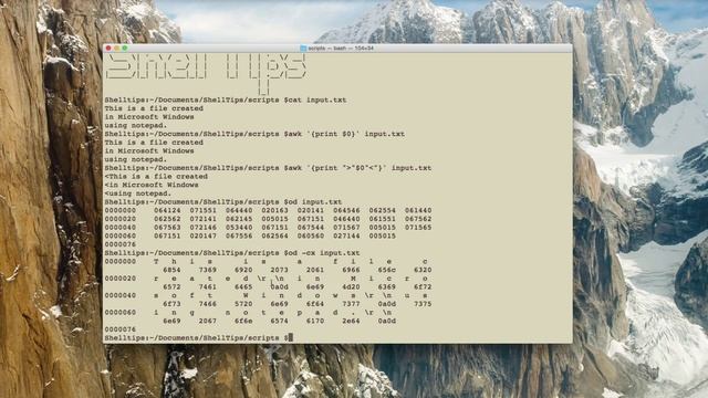 How to read a binary file using unix / linux command line смотреть онлайн