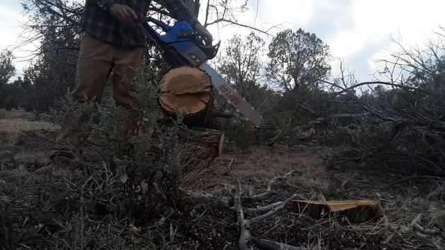 Holzfforma g366 / Stihl ms361 clone chainsaw review смотреть онлайн