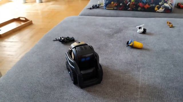 Anki Vector умный робот, что умеет, как реагирует