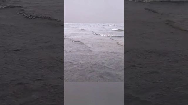 "Изгиб гитары..."(covёr.,драммиббас версия☺️). смотреть онлайн