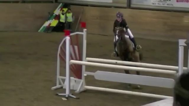 anemone nemorosa for altid смотреть онлайн