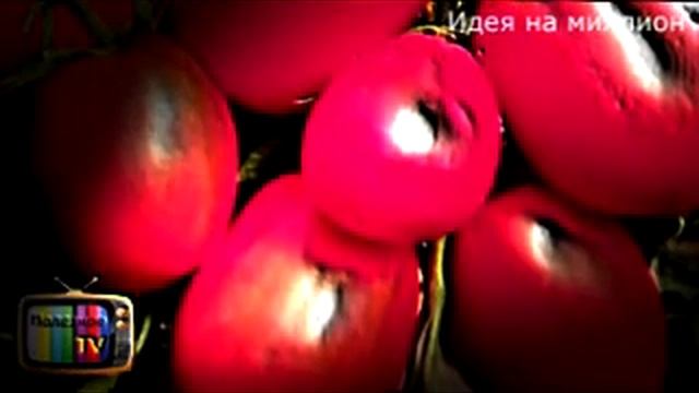 7 лучших сортов помидоров/ 7 навъи беҳтарин помидор смотреть онлайн