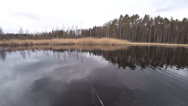 Поймал ЩУКУ На ЗМЕЮ. Необычная Приманка На Щуку. смотреть онлайн