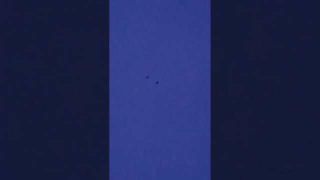 красные белохвостые смотреть онлайн