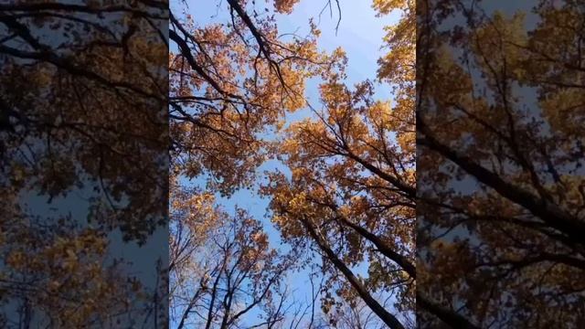 Стих про осень смотреть онлайн