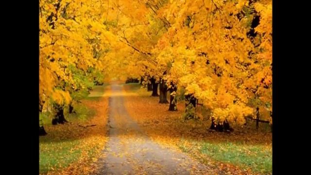 Prelude to infinity, música para meditar смотреть онлайн