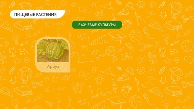 Дикорастущие и культурные растения смотреть онлайн