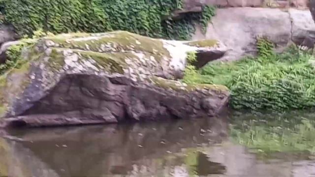 Умань дендропарк софиевка смотреть онлайн