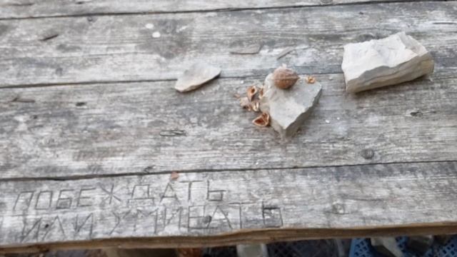 Хиппи споты Геленджика часть 2 смотреть онлайн