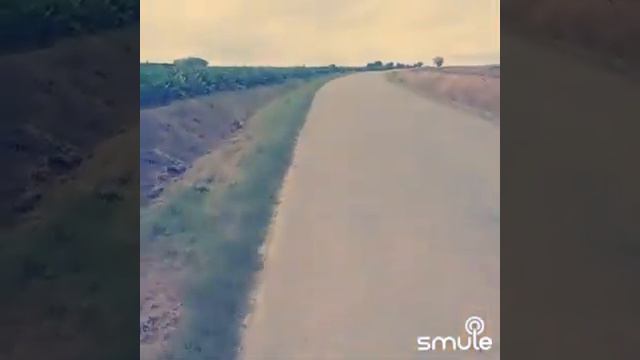Романс на разрыв души💘 Кто просил - вот вам подарок 🎁 Ваенга Елена. (cover) смотреть онлайн