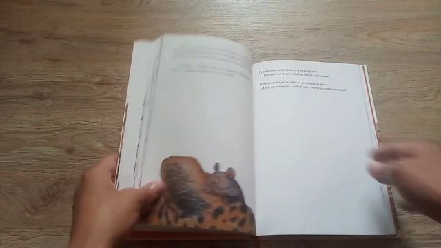 По вашим заявкам - "Риго и Роза"! смотреть онлайн