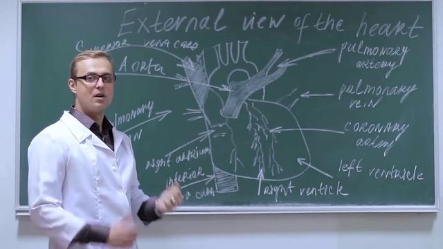 Best Career options After 12th For Biology Students – [Hindi] – Quick Support смотреть онлайн