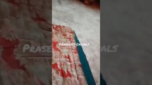 sonagachi inside New video 2022