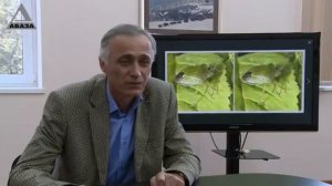 Садовые клопы атакуют жилища